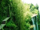 蜀南竹海休闲二日游