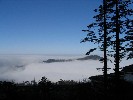 乐山、峨眉山美食温泉全景2日游