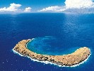 醉爱巴厘岛5日游