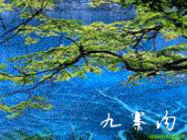 sichuan_jzg.gif