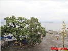 西昌泸沽湖、泸山、邛海、双汽四日游
