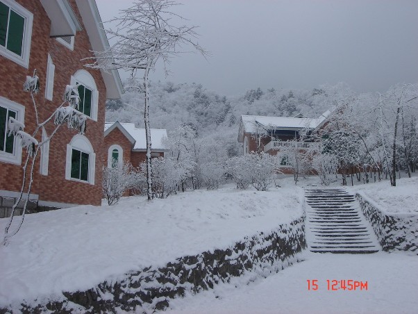DSC02148.JPG