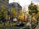 日本本州全景7日之旅