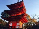 日本本州深度7日の旅
