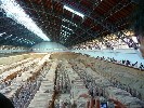 成都至西安动车品质休闲三日游