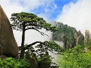 黄山、千岛湖、西递宏村双动5日纯玩游