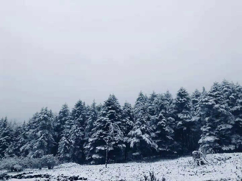 2021元旦节成都周边去哪里滑雪、元旦节成都周边旅游线路攻略