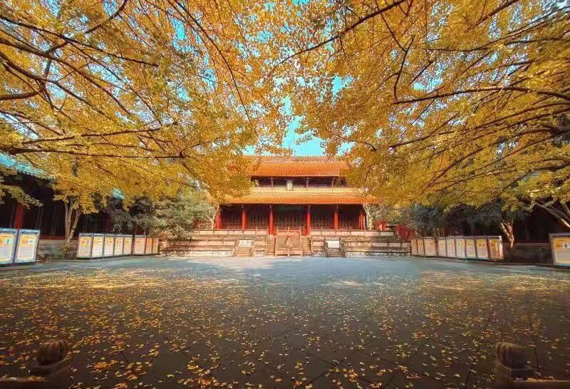崇州罨画池赏杏游园，疫情间崇州罨画池门票需要提前预约。