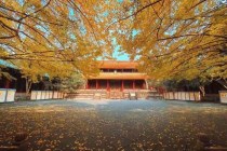 崇州罨画池赏杏游园，疫情间崇州罨画池门票需要提前预约。