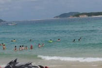 成都去三亚旅游，自已去，不想跟团