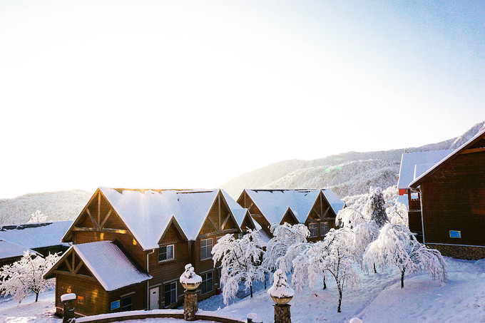 2022年春节去西岭雪山滑雪赏雪？