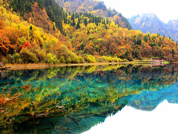 九寨沟旅游跟团，要注意什么？，避免什么坑？不能只看报价