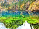 ＜四川必玩精品＞九寨沟、黄龙、都江堰、峨眉山、乐山五日游