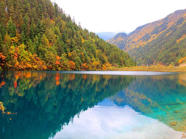 九寨沟、黄龙、四姑娘山、理小路及川西线路组合集锦