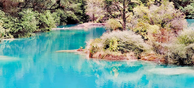 成都出发九日可走那些景点，价格多少